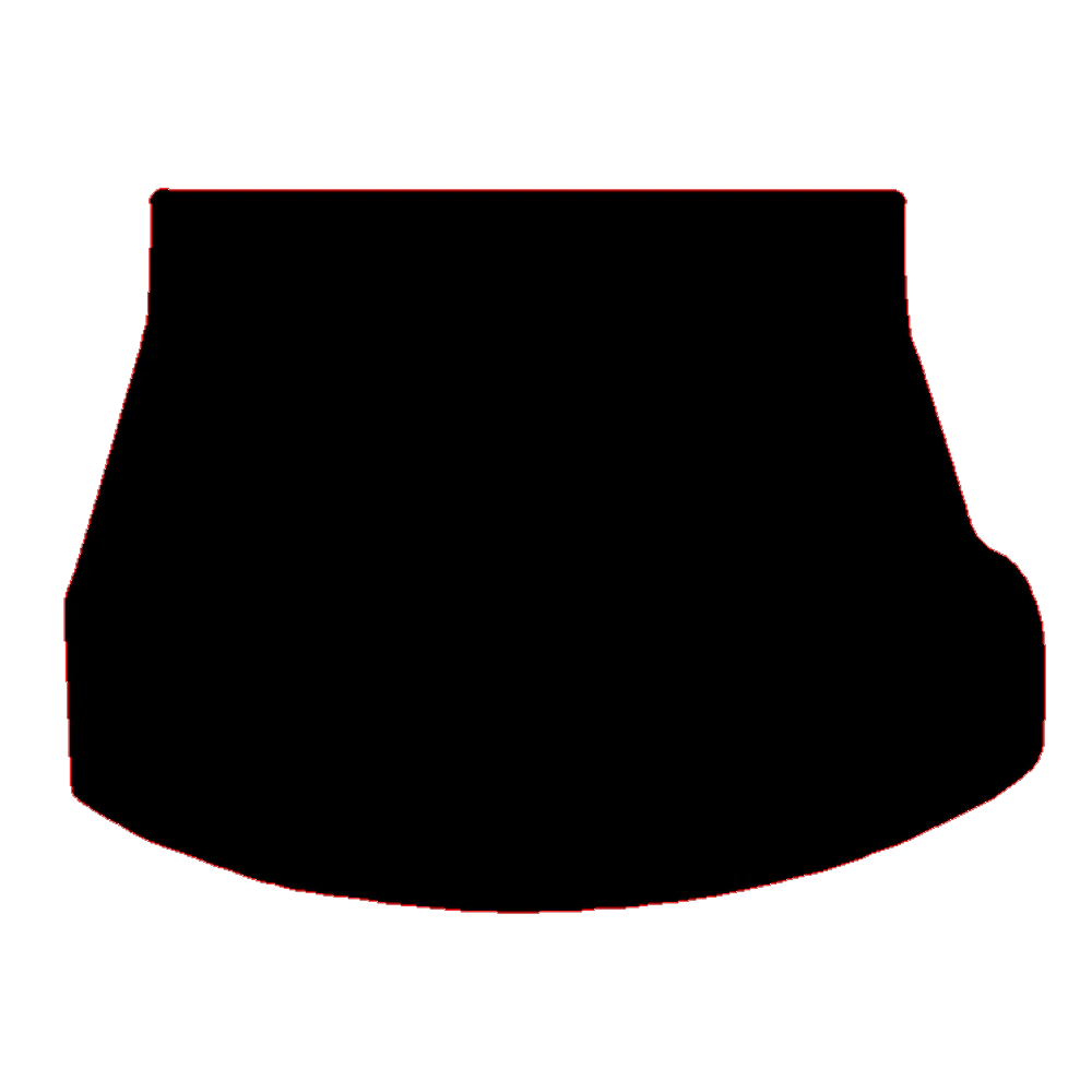 Lexus NX 2021 to Current 350 H Boot Mat